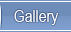 Image Gallery